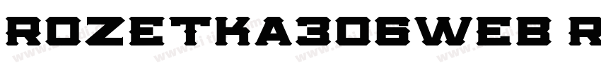 Rozetka306web Regula字体转换